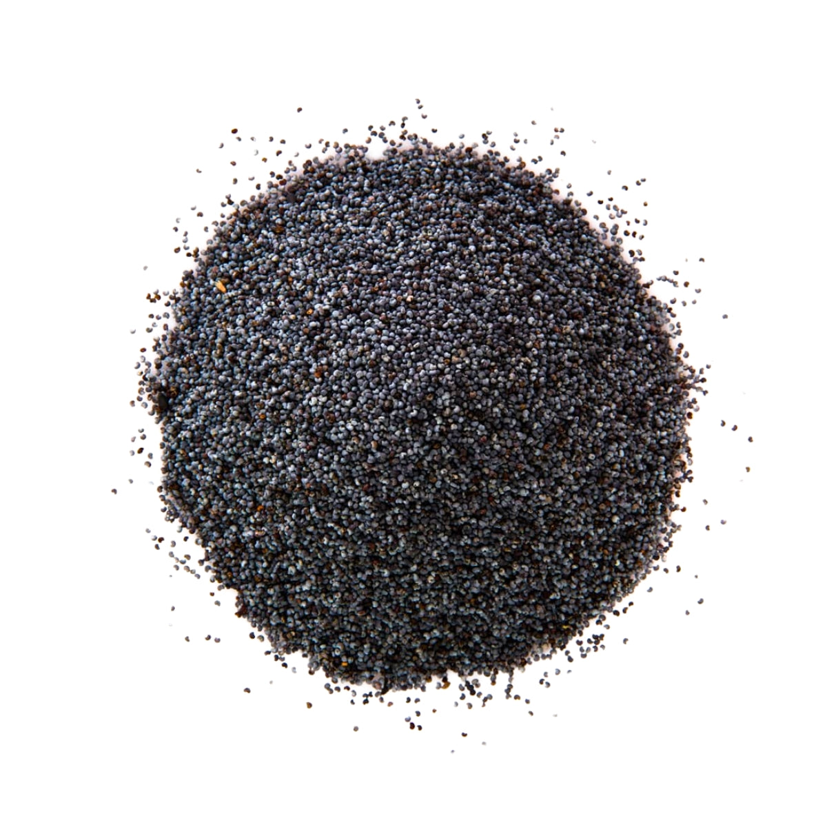 Blue Poppy Seeds - 10kg