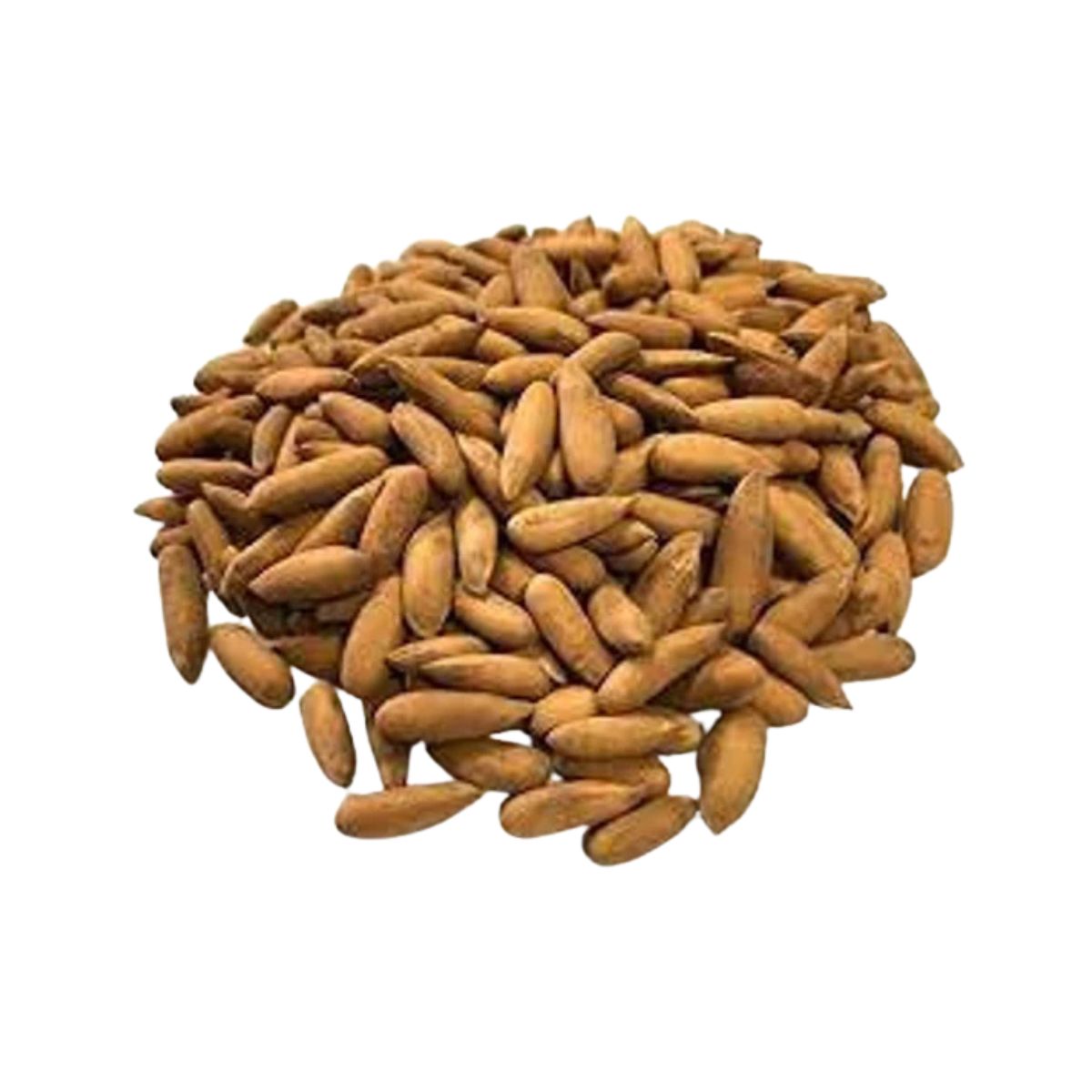 Chilgoza Pine Nuts - 1kg