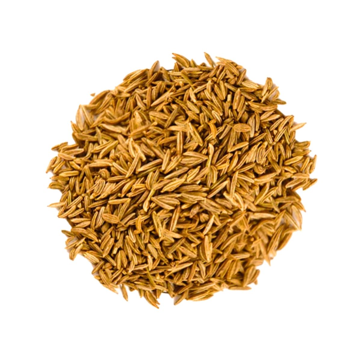 Cumin Seeds – Whole - 2kg