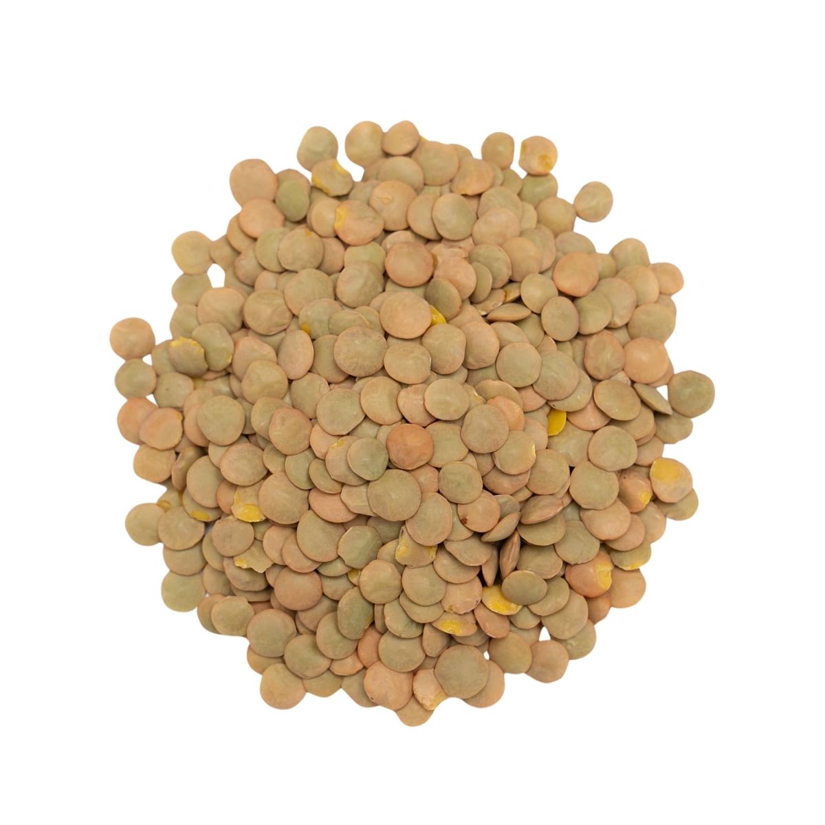 Green Lentils – Whole - 25kg