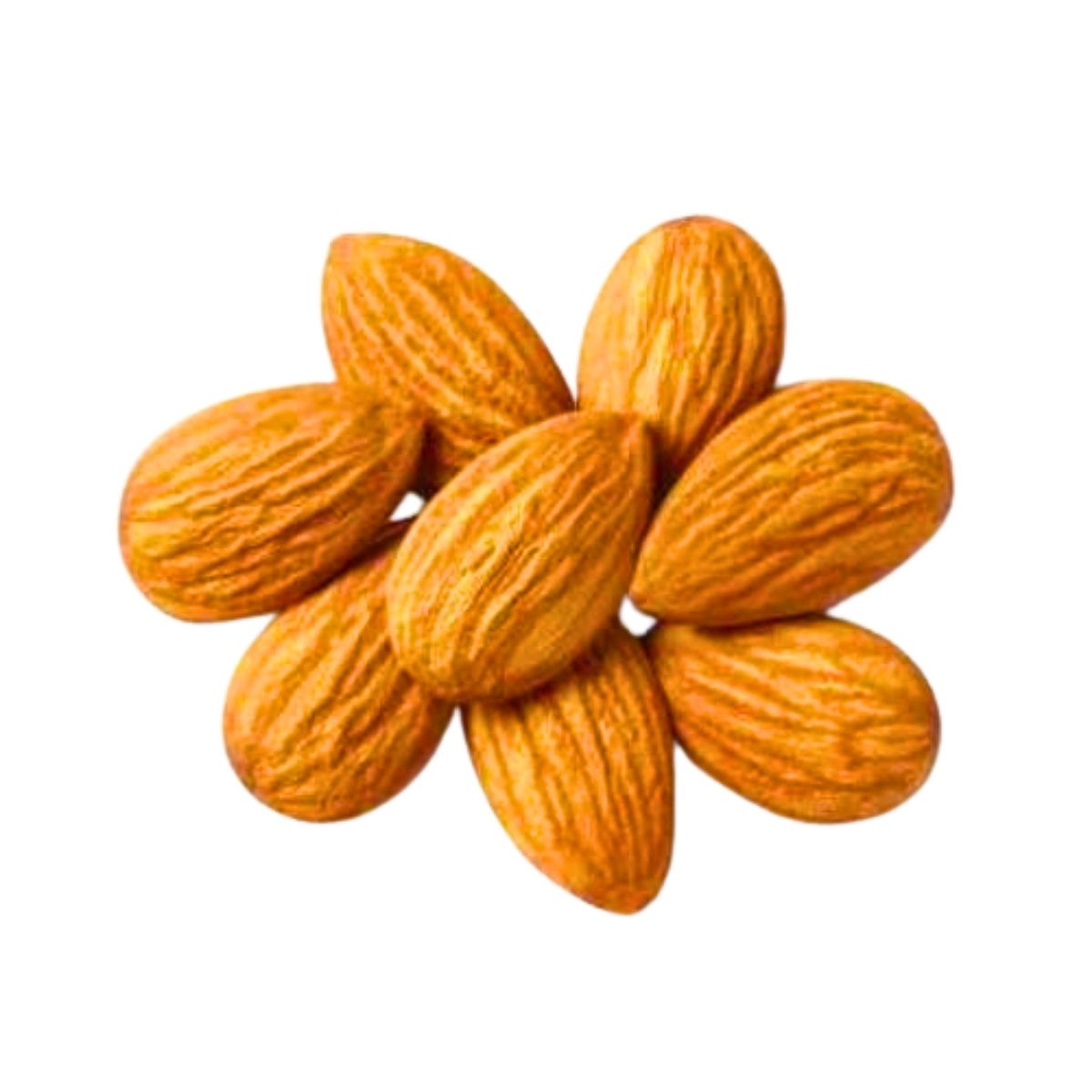 Raw Almond – OFFER PRICE - 22.68kg