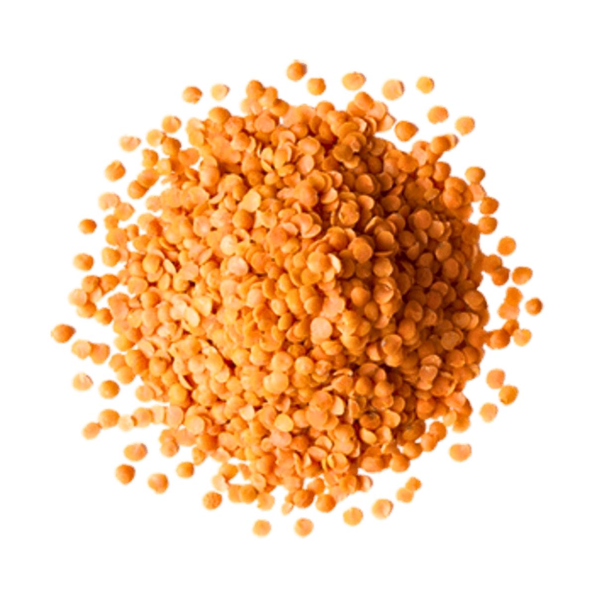Red Lentils - 25kg