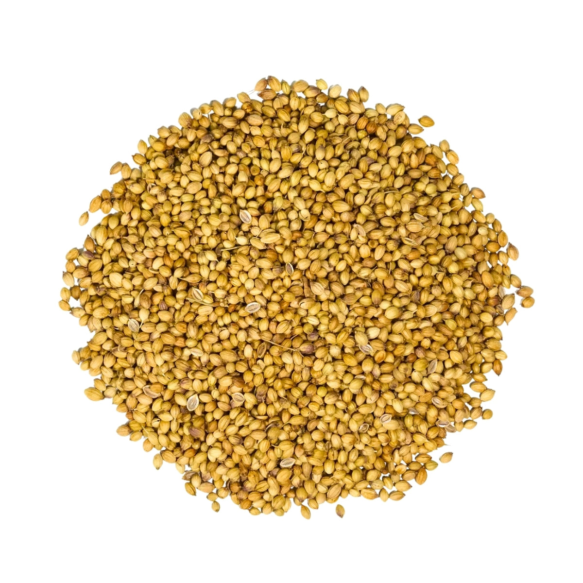 Roasted Coriander Seeds - 25kg