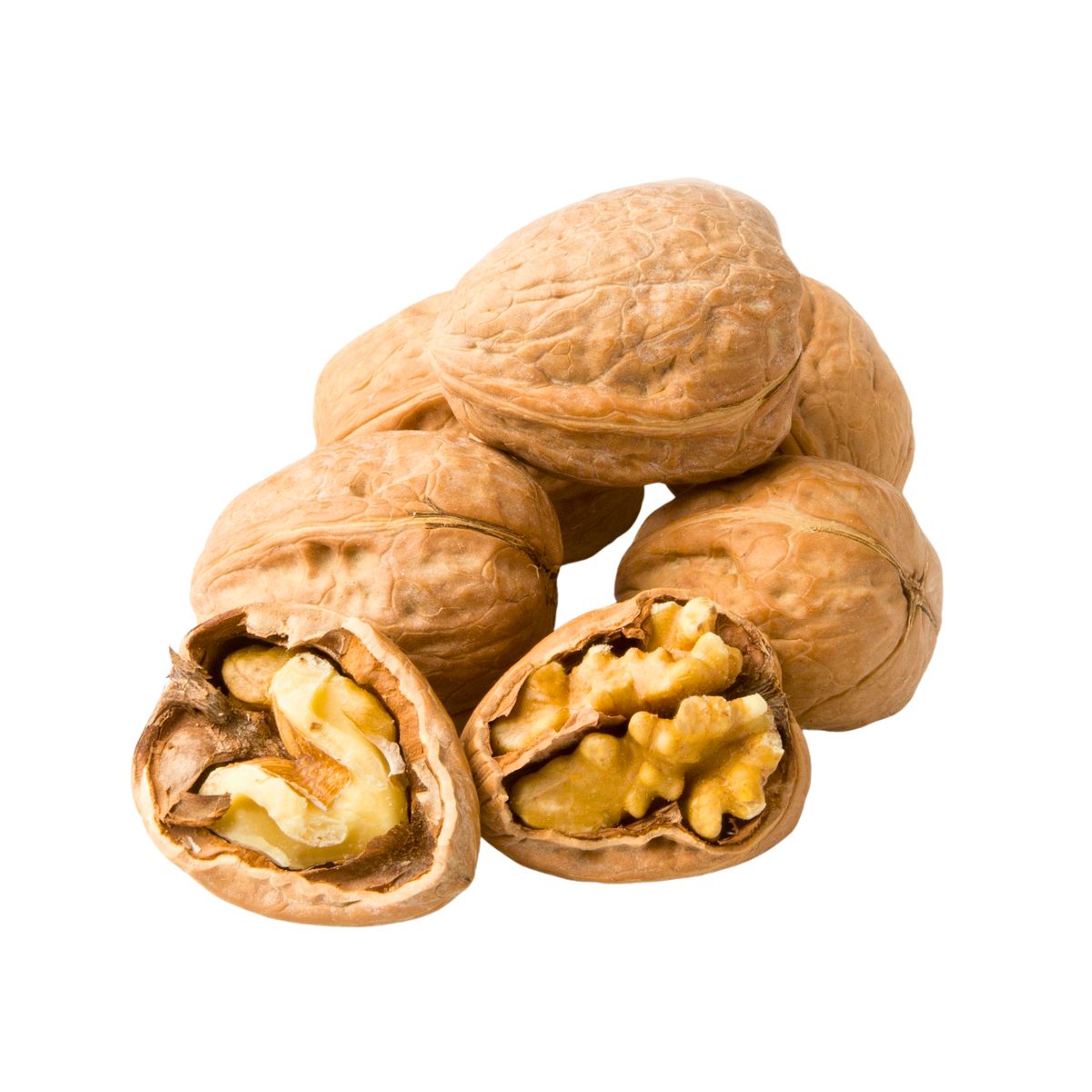 Walnuts in Shell - 20kg