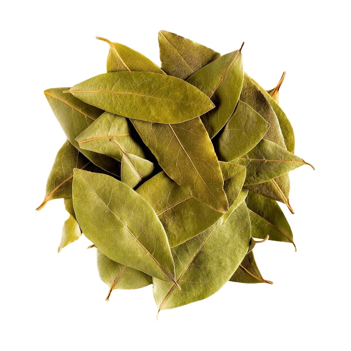 Bay Leaves - 500g
