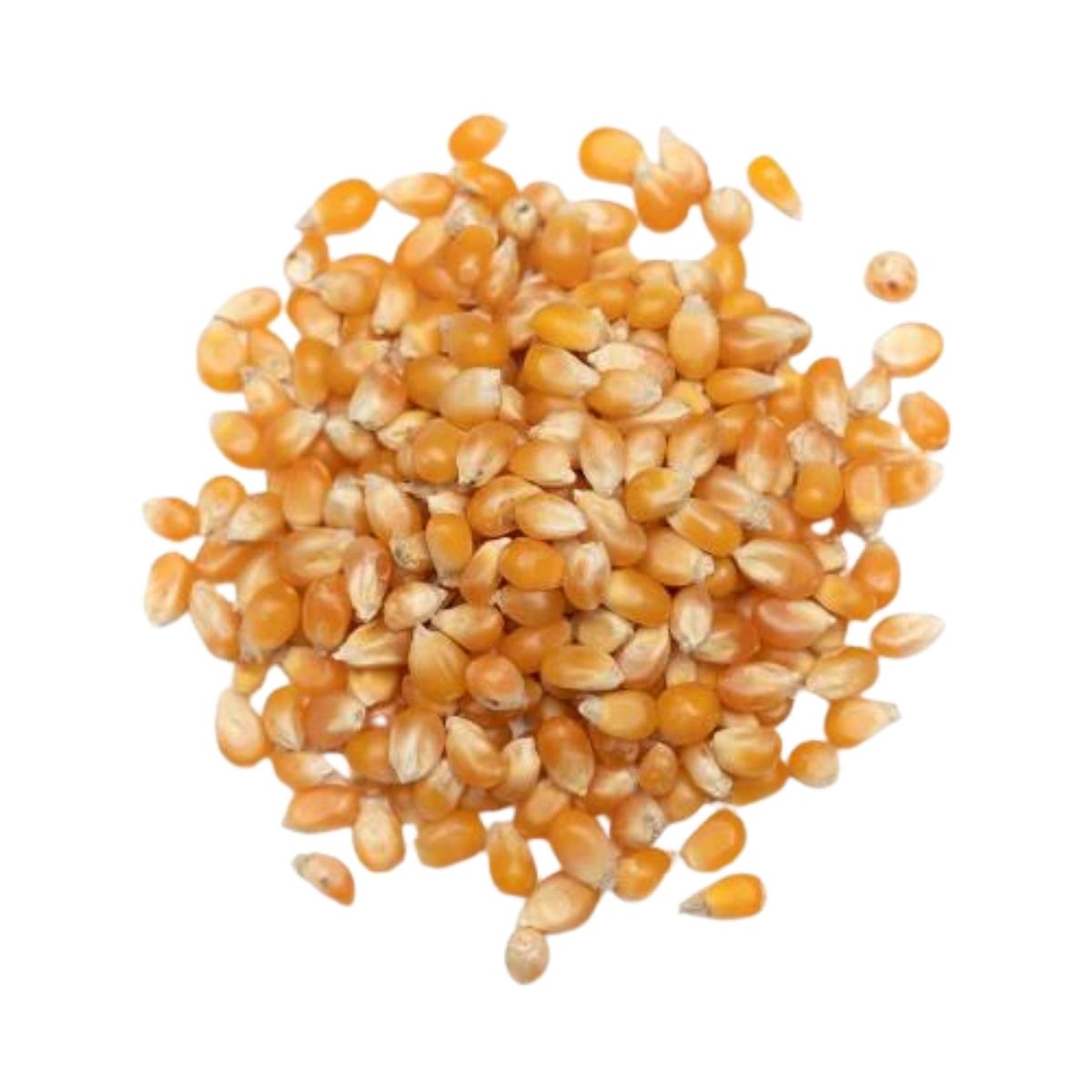 Popcorn Kernels (Popping Corn) - 25kg