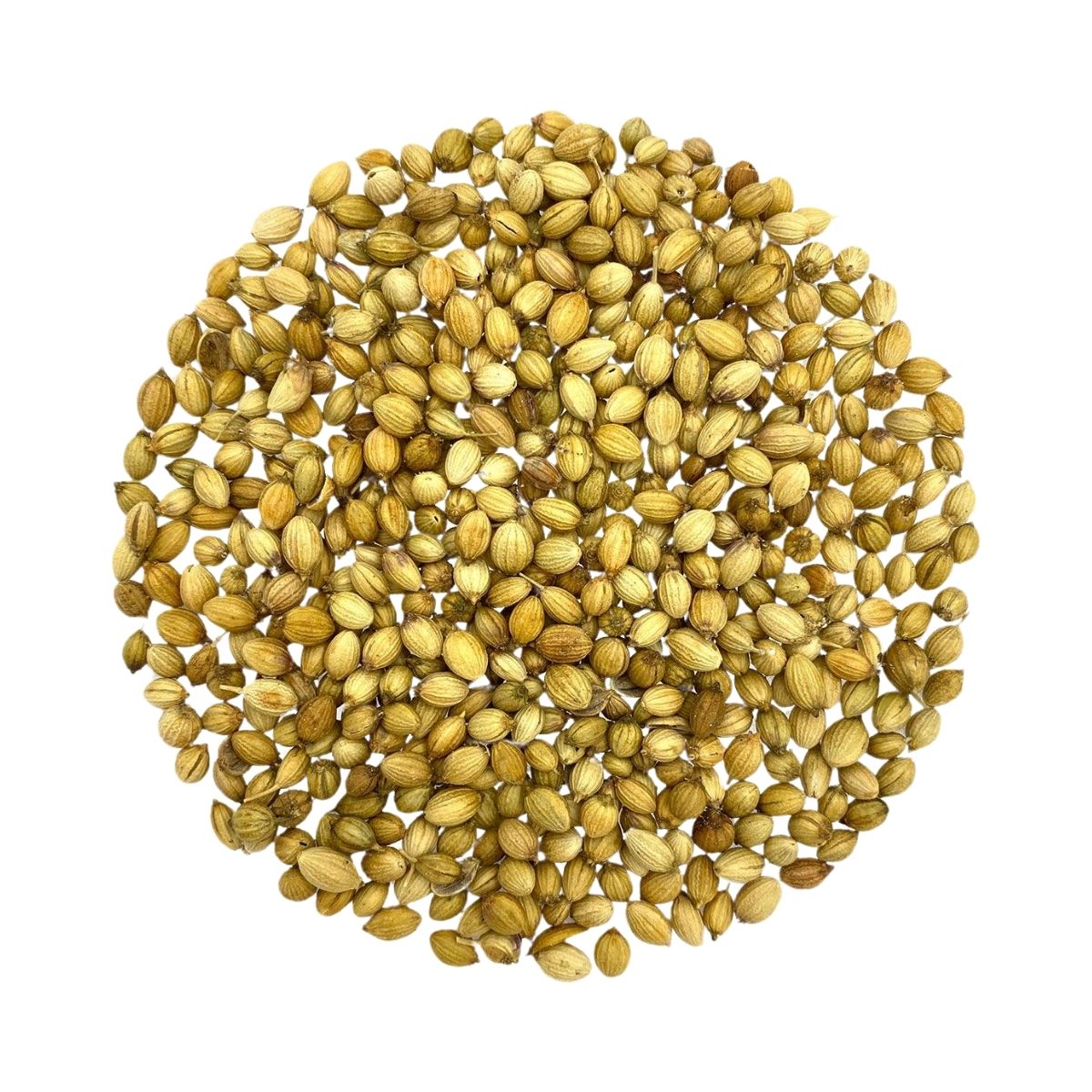 Coriander Seeds - 25kg