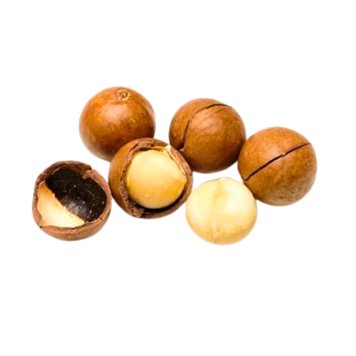 Macadamia in Shell - 10kg