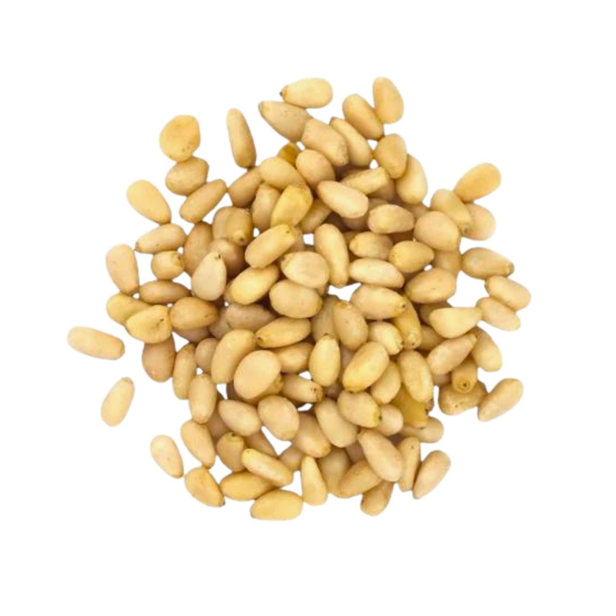 Pine Nuts - 5kg