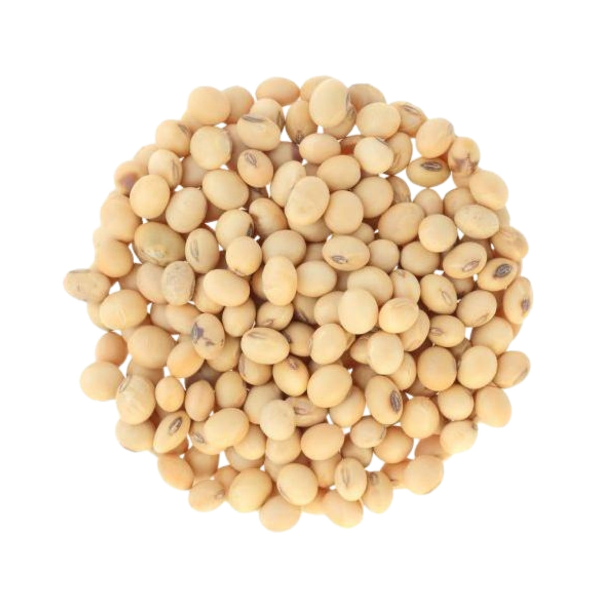Soya Beans - 10kg